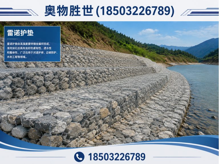 定西雷诺护垫展示图